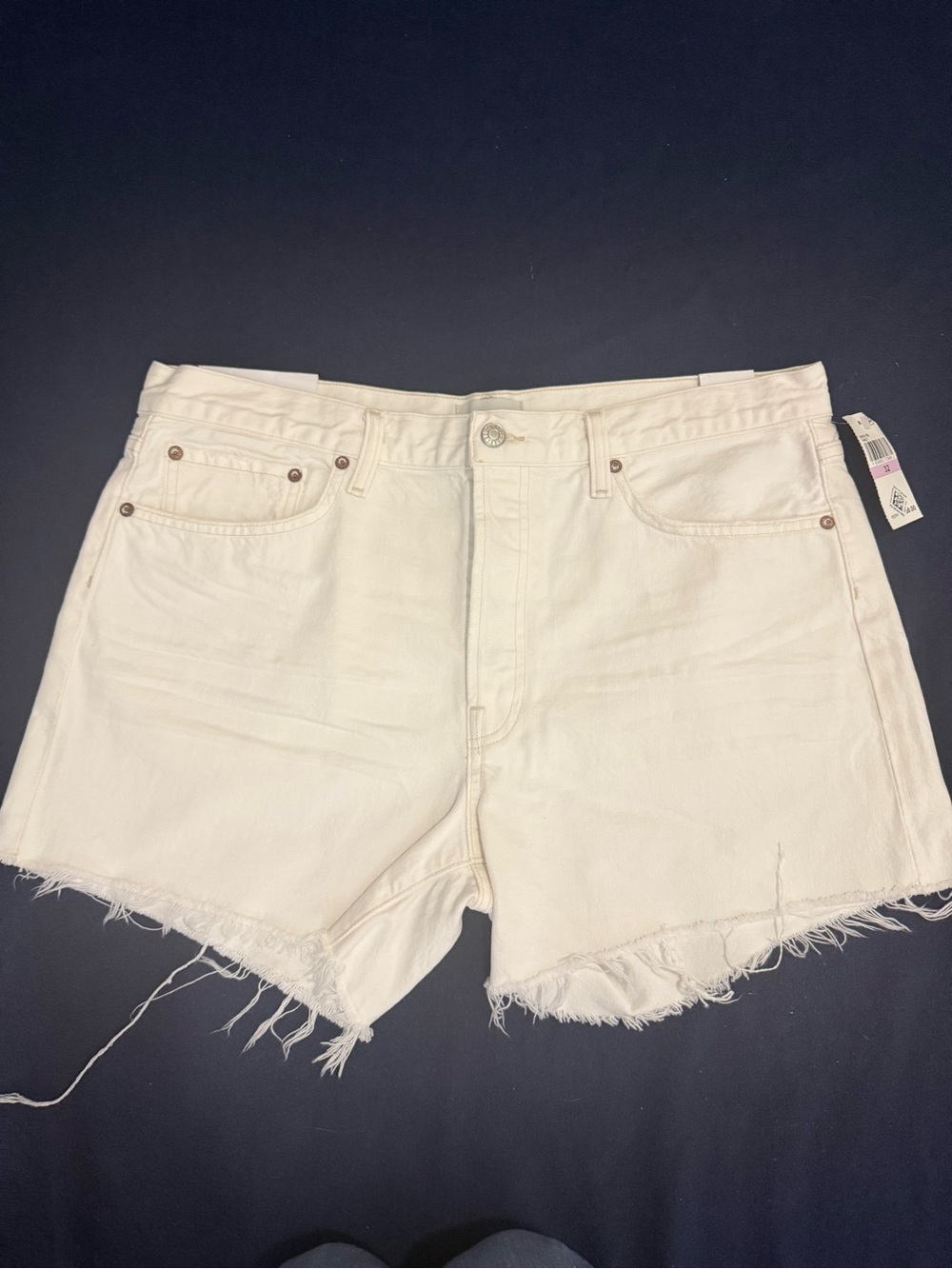 AGOLDE Parker Long Short Loose Fit in Panna Cotta White Size 32 NWT MSRP $158